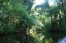 Canoe tour in Tortuguero National Park