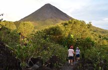 Arenal Highlights: Hanging Bridges, La Fortuna Waterfall, Volcano