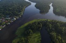 TORTUGUERO MOST POPULAR: Canoe and night tour (Jul-Oct turtle)