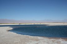 San Pedro de Atacama: Half day Cejar Lagoon afternoon tour.