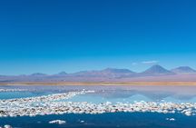 San Pedro de Atacama: Half day Cejar Lagoon afternoon tour.
