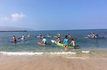 Group Stand Up Paddle Lesson and Tour
