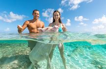 Sandy Toes Bahamas Original Swimming Pigs and Snorkeling 