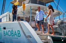 Whale Watching for 3 hours in Tenerife