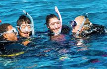 Exploration dives