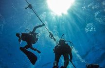 Full-Day Catalina Island Scuba Diving Tour from Punta Cana