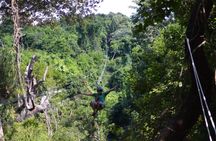 Goodman's Zipline Flight Adventure plus Beach Break