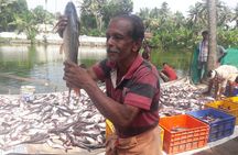 Kochi Overall Private & Group Tours: Customizable: Pick and Drop.