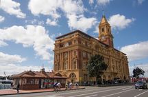 Auckland City Highlights, Afternoon Piha Beach & Rainforest Tour