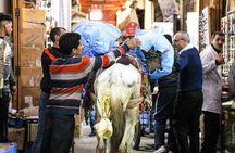 Fez in One Day: Qaraouiyine Mosque, Tanneries, Medersa & Mellah...