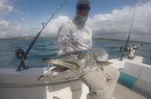 Deep Sea Fishing (Street Food and Beer Included)