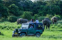 Day Tour from kandy to Sigiriya, Dambulla & National Park safari.