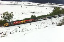 Tranz Alpine Train Tour