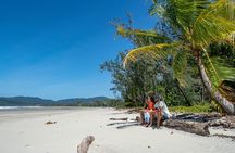 Daintree Rainforest and Mossman Gorge: Full Day Tour