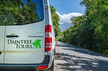 Daintree Rainforest and Mossman Gorge: Full Day Tour