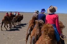 Gobi Tour May 2019 02-07 June