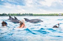 Kizimkazi Dolphin Tour
