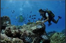 Private Tour: Underwater Scooter Bora Bora