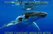 BORA-BORA Private Whale Watching