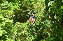 Canopy Zip Line in Go Adventure Park