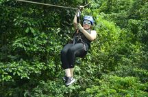 Canopy Zip Line in Go Adventure Park