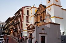 Half-Day City & Canal Entry Tour + BioMuseo Outdoor Walk!