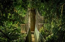 Kinabalu National Park Tour