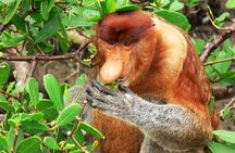 Bako National Park