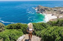 Cape Peninsula and Boulders Full Day Tour with Private Transfer