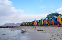 Cape Peninsula and Boulders Full Day Tour with Private Transfer