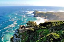 Cape Peninsula and Boulders Full Day Tour with Private Transfer