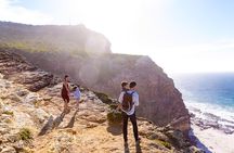 Full day Cape Point + Constantia Wine Tour with Private Transfer