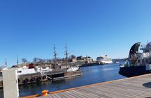Oslo Highlights. Best Private Walking Tour of Oslo with a Local Guide. 
