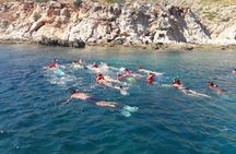 Snorkeling marine protected area Tavolara
