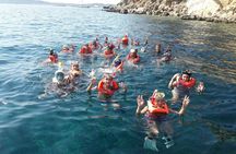 Snorkeling marine protected area Tavolara