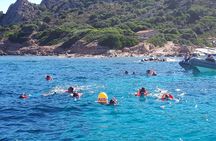 Snorkeling marine protected area Tavolara