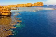 Ras Mohamed National Park Trip Snorkelling Trip