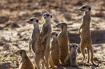 Zebra Trail Makgadikgadi Day Trip
