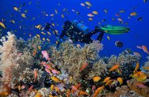 Ras Mohamed National Park Trip Snorkelling Trip