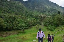 Birdwatching Private Tour at Chicaque Natural Park with Lunch