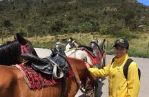 Andean Horseback Riding Experience Near Bogotá