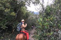 Andean Horseback Riding Experience Near Bogotá
