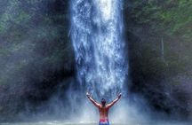 Nungnung Waterfall,Jatiluwih Heritage UNESCO and Bedugul Tour