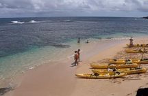 Hanalei River Paddle and Bay Snorkel Tours (LUNCH INCLUDED)