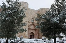 Tour with transfer from Bari to Castel del Monte