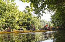 Wailua River Kayak and Sacred Falls Hike With Lunch