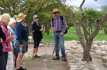 Archaeologist-Led Cañada de La Virgen Pyramid Tour