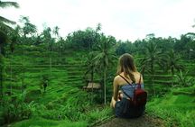 Ubud Natural Walk, Trekking and Giant Swing