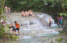 Mayfield Falls Private Tour