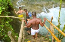 Mayfield Falls Private Tour